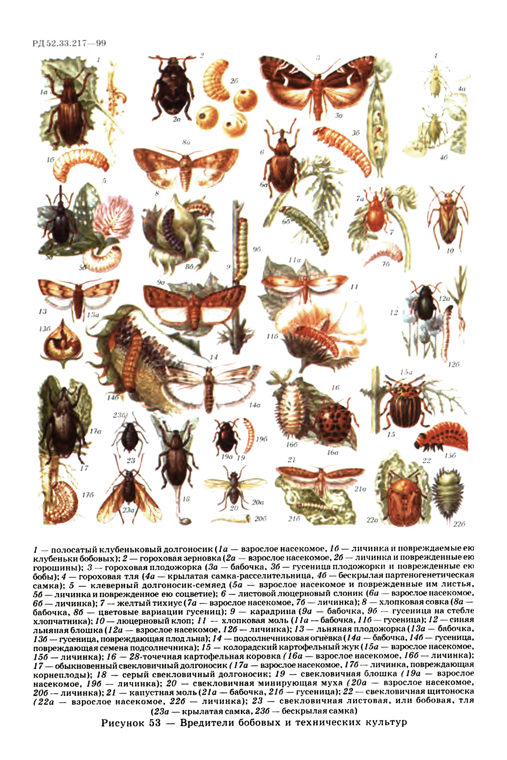 РД 52.33.217-99