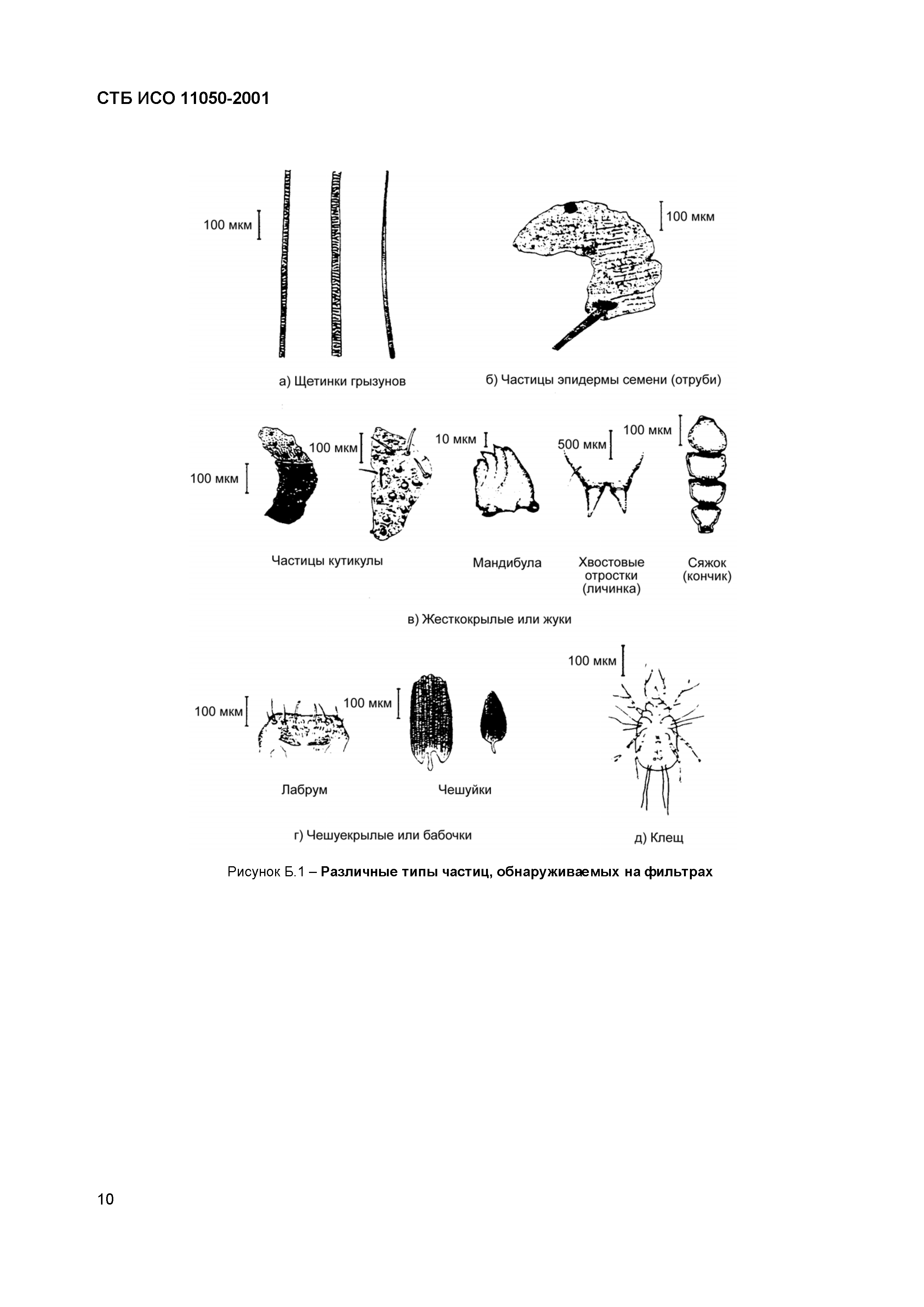 СТБ ИСО 11050-2001