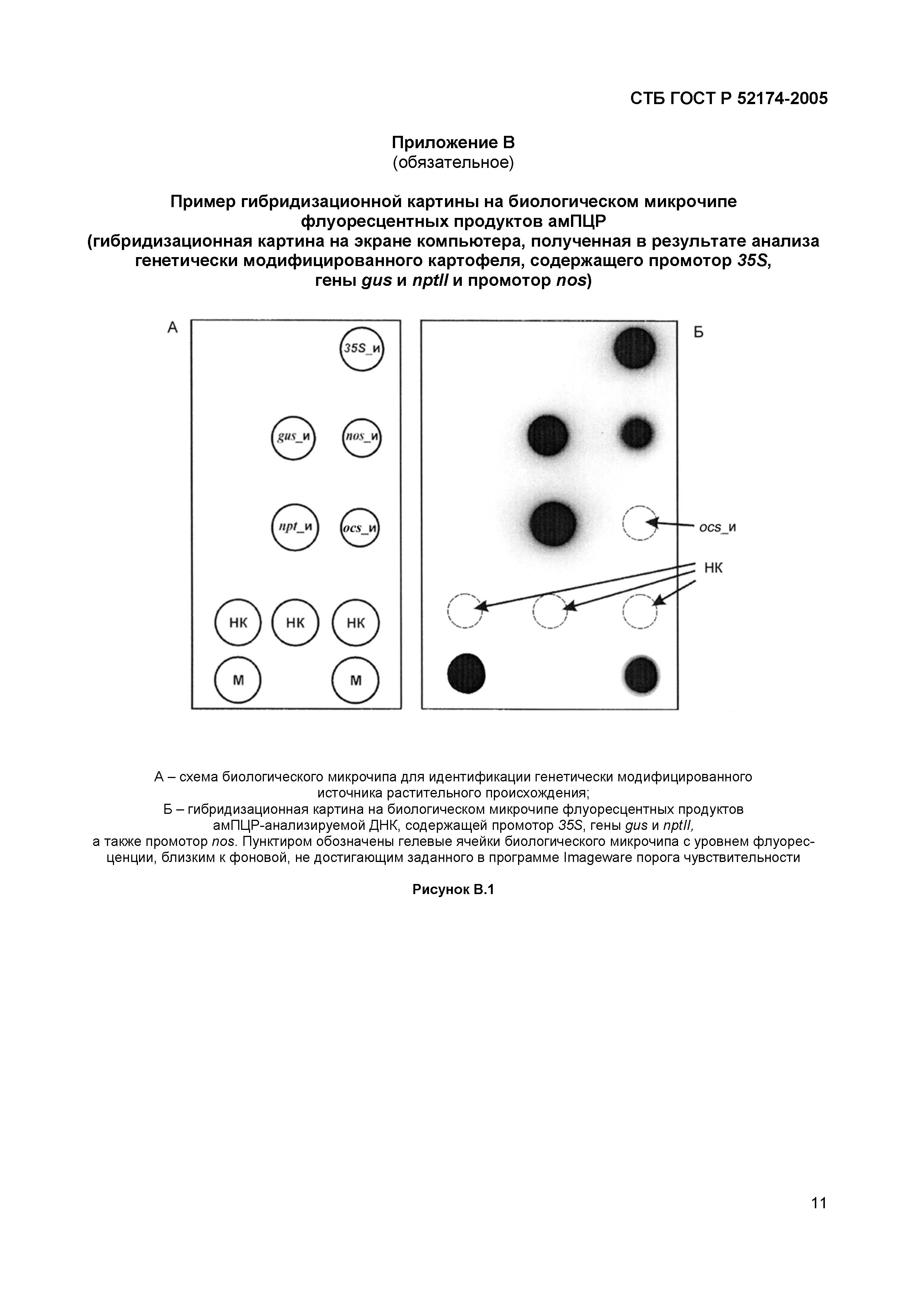 СТБ ГОСТ Р 52174-2005