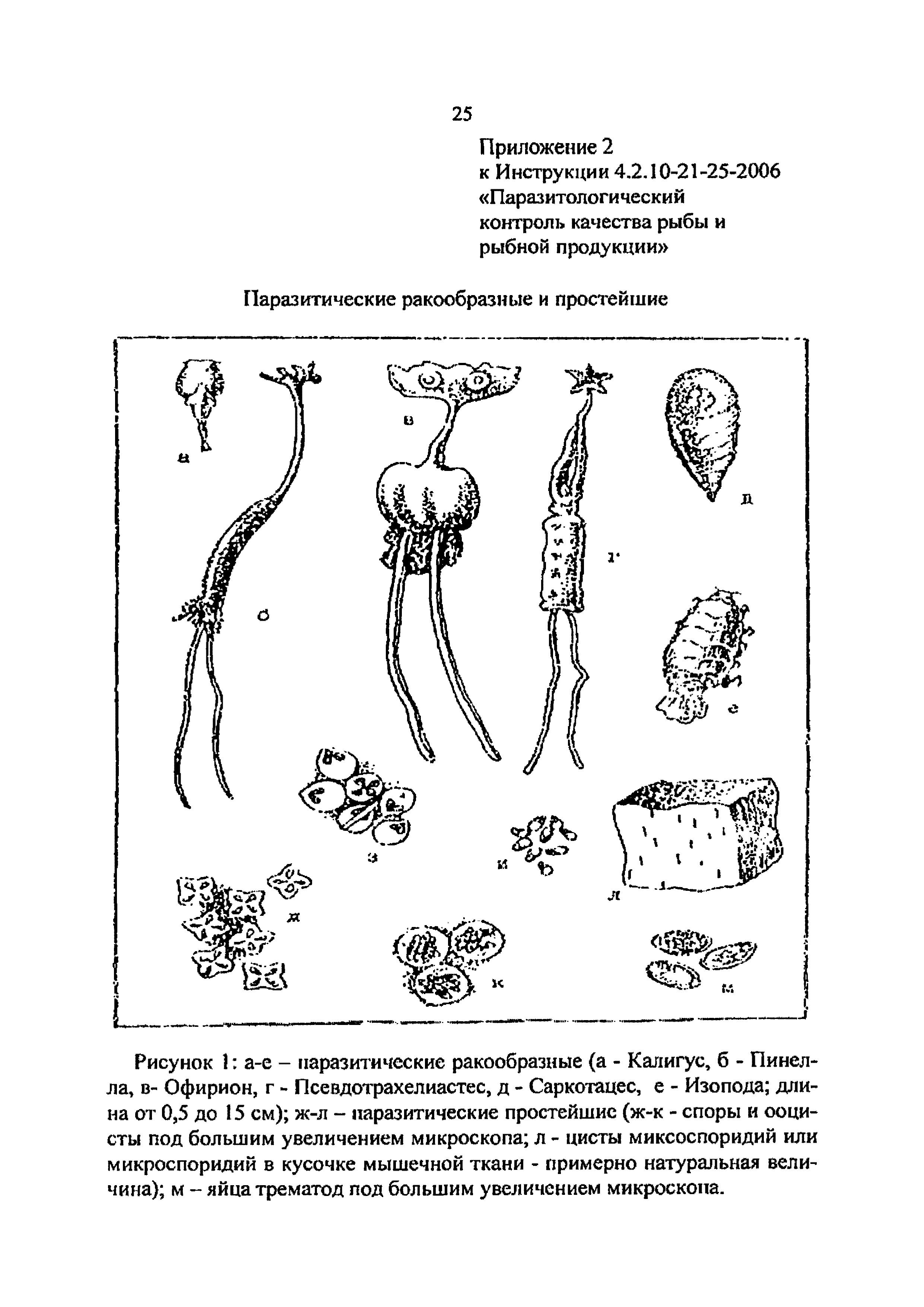 Инструкция 4.2.10-21-25-2006