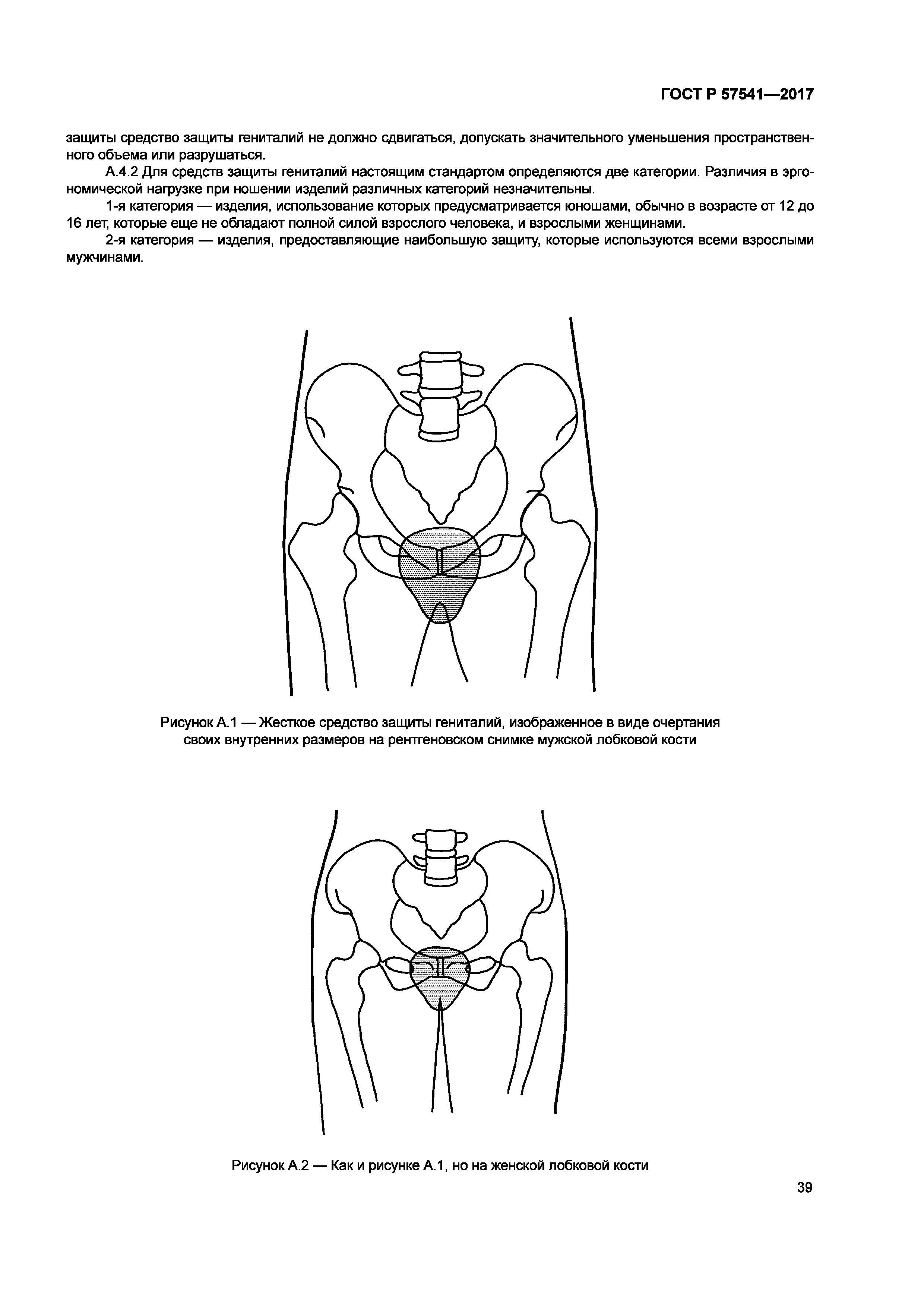 ГОСТ Р 57541-2017