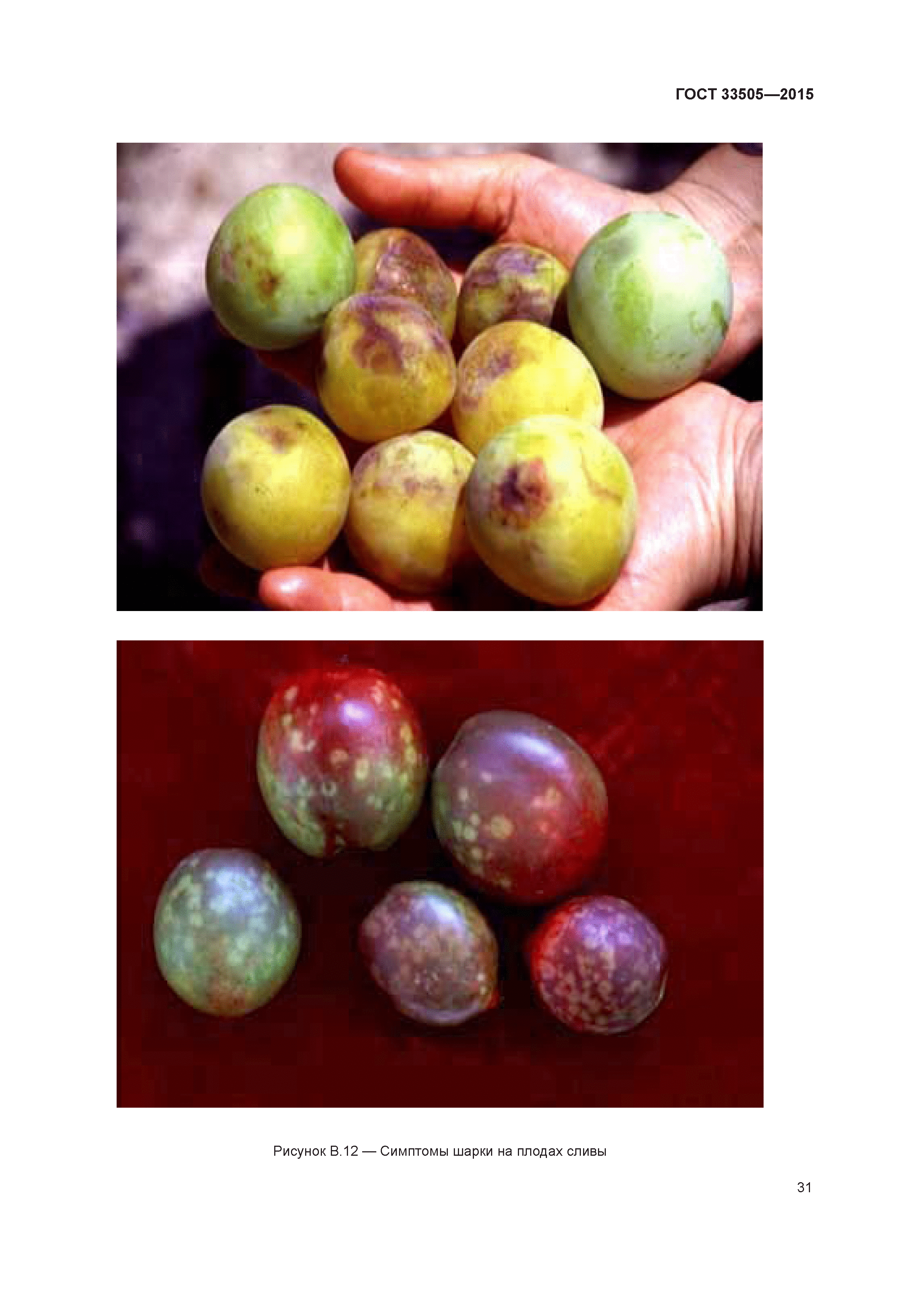 ГОСТ 33505-2015