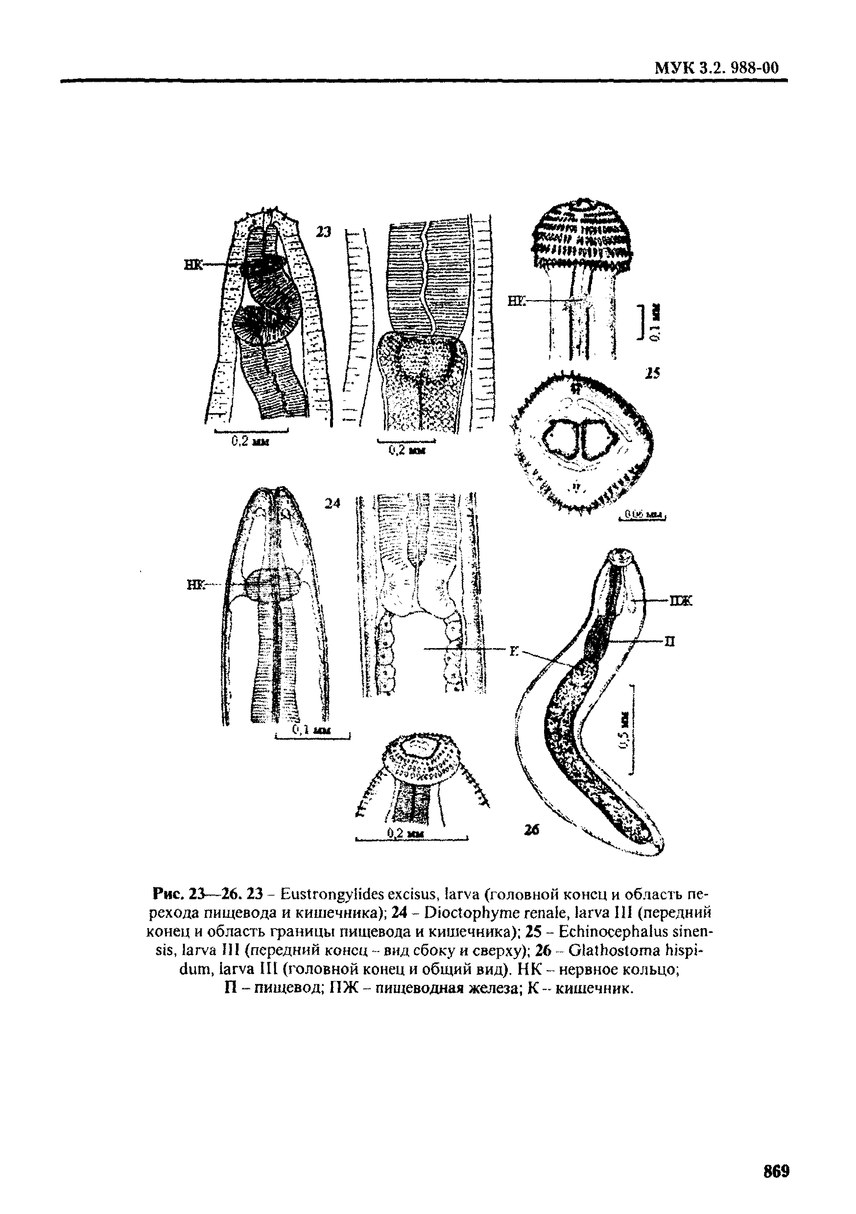 МУК 3.2.988-00