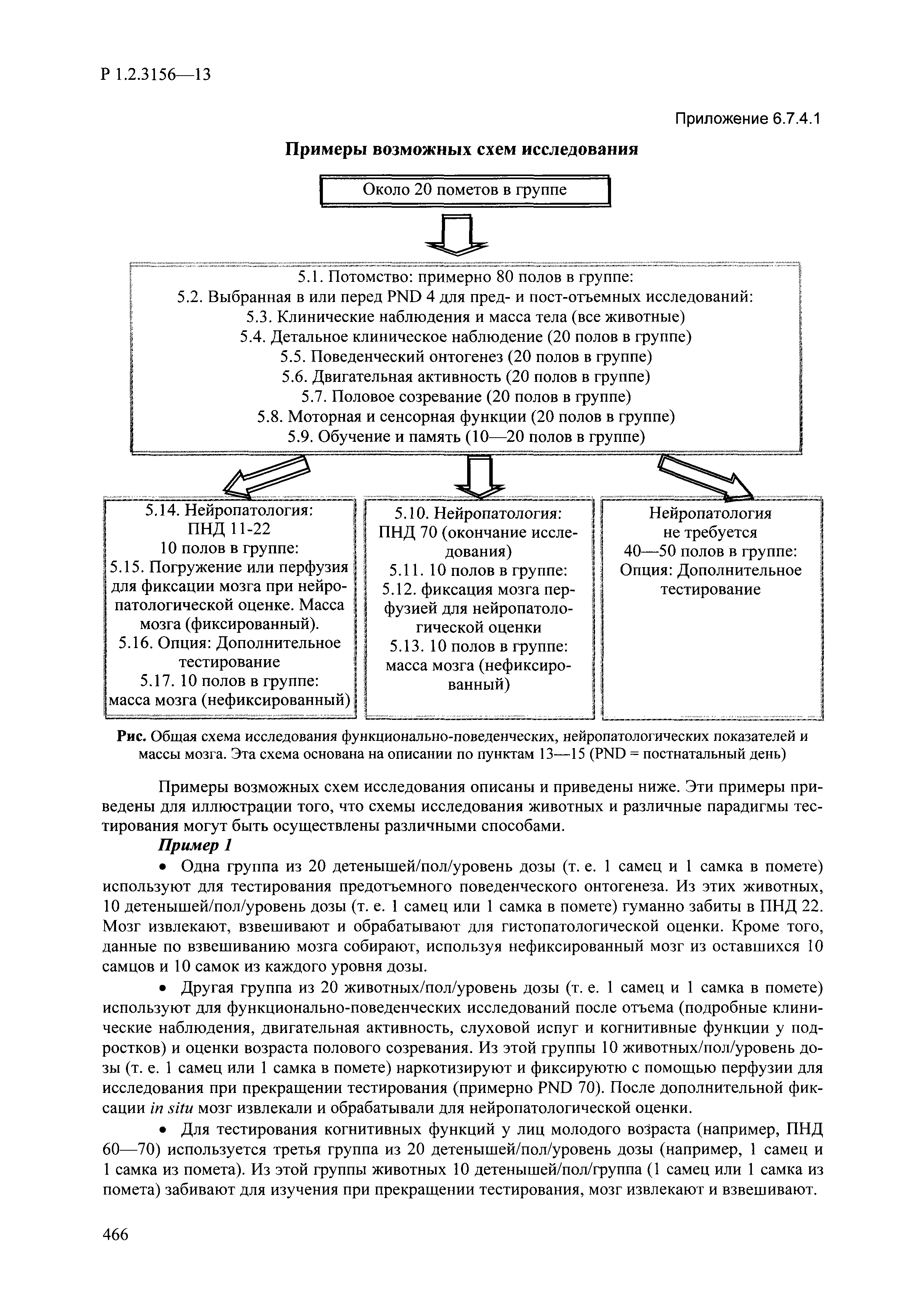 Р 1.2.3156-13