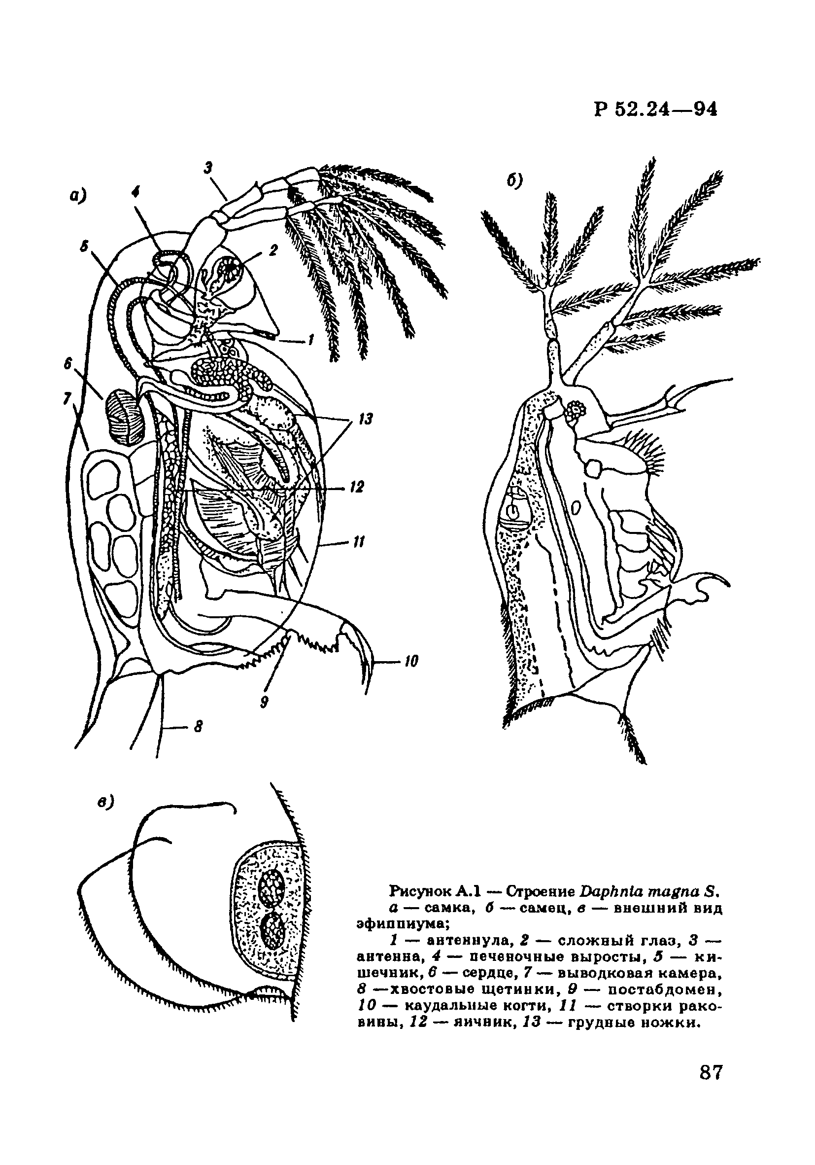 Р 52.24.566-94