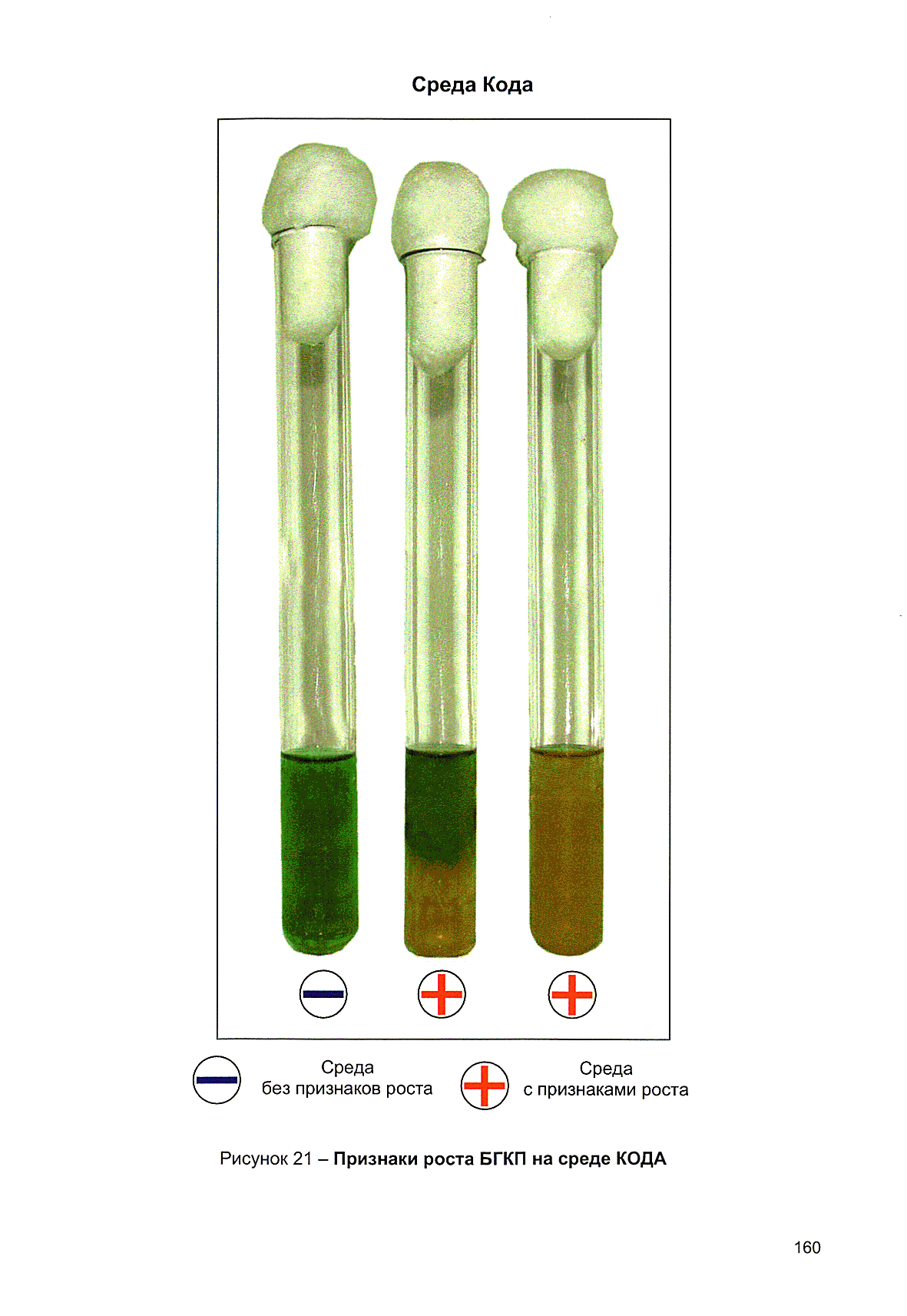 МР 2.3.2.2327-08