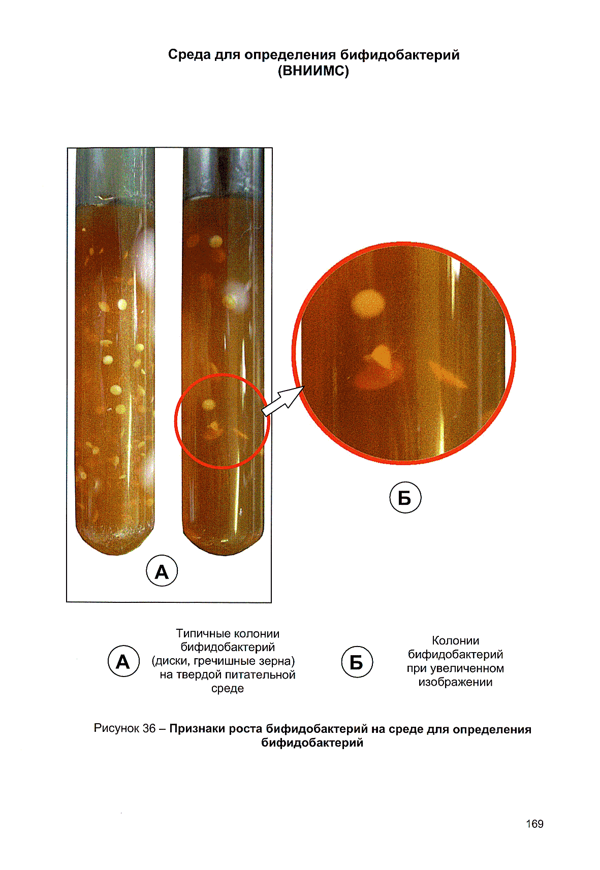 МР 2.3.2.2327-08