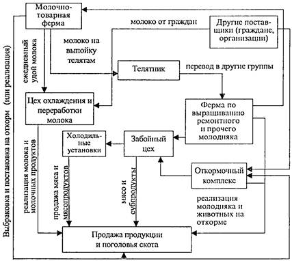 Контрольная работа по теме График документооборота в организации первичного учета