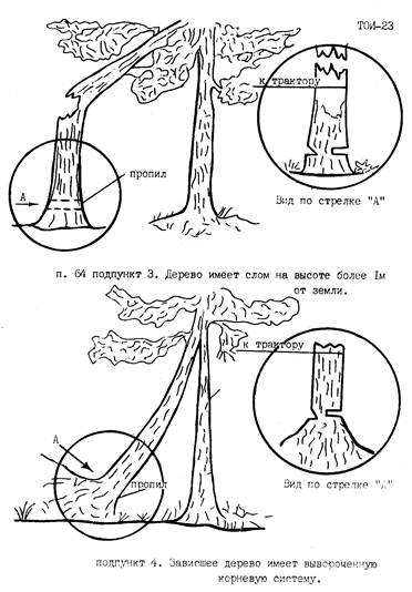 Способы валки деревьев