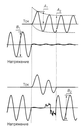 Описание: вика